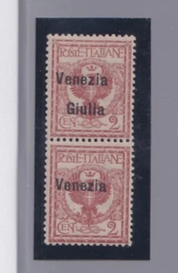 1919 Venezia Giulia: 2c. Rouge Bruno Paire Verticale ( No 20faa) MNH ( - Imagen 1 de 2