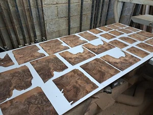 AUCTION ITEM - perfect for a restoration project - a great mix of BURR WALNUT - Picture 1 of 4
