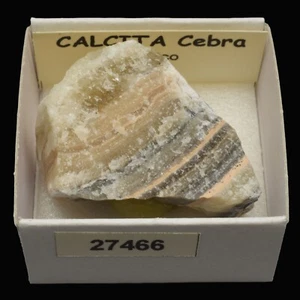 CALCITA Cebra (Mexico) #27466 / Zebra calcite - Picture 1 of 1