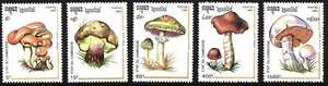 Kambodscha - Pilze Satz postfrisch 1992 Mi. 1318-1322 - Bild 1 von 1