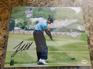 Tiger Woods Autographed Photo, 8x10 with COA, - Picture 1 of 5