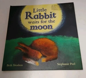 Little Rabbit Waits For the Moon (Meadowside Picture Books) (Meadowside Pic B... - Picture 1 of 3
