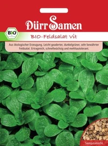 BIO-Feldsalat Samen Vital Feldsalat Feldsalatsamen Rapunzelsalat Salatsamen Saat - Bild 1 von 1