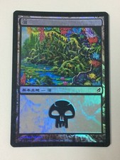 Swamp FOIL Japanese Asian #291 (Ron Spears) MTG Lorwyn NM