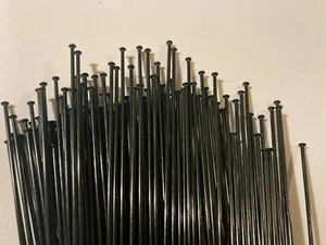 Sapim black straight pull plain gauge, stainless spokes & nipples - Picture 1 of 6