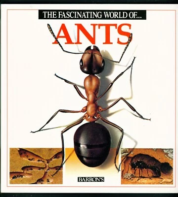 Barron's Fascinating World of Ants - 1991 Julivert & Socias - $7 Retail   - Image 1 of 2