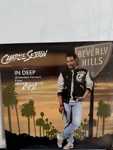 Charlie Sexton In Deep Beverly Hills Cop 2 Record Single MCA Records 1987 Promo - Picture 1 of 4