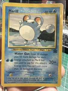 Pokémon TCG Marill Wizards Black Star Promos 29 Regular Promo Promo - Picture 1 of 4
