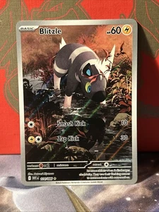 Pokémon TCG SV White Flare Blitzle Card 114/086 Illustration Rare NM/M - Picture 1 of 2