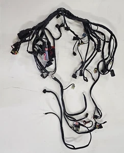 2008 MV Agusta Brutale F4 910 R 910R Main Wire Harness - Bild 1 von 8