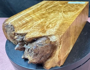 Himalayan Golden Teak Burl,turning blank, Bowls,Penblanks,#HGTB0908 - Picture 1 of 7