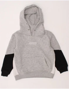 GUESS Boys Hoodie Jumper 2-3 Years Grey Colourblock Cotton BU16 - Picture 1 of 3