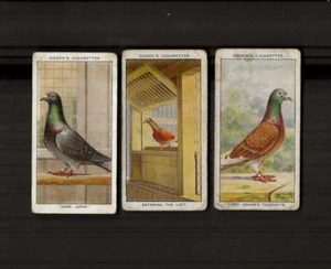OGDENS - RACING PIGEONS X3 NUMBERS 4,6,9 - Picture 1 of 2