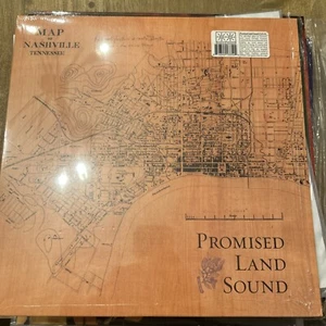 PROMISED LAND SOUND VINYL (No Download) Excellent - Foto 1 di 4