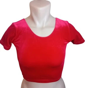NWT Y2K American Apparel Velvet Crop Top Short Sleeve Tee Shirt Bloody Red XS - Picture 1 of 16