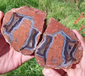 Blue Lace Thunderegg Turkish Agate Pair *WET SHOT* - Picture 1 of 2