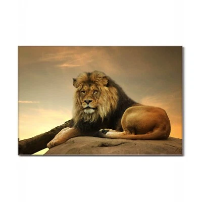 Magnettafel Glas 45x30cm groß beschreibbar Memoboard magnetisch - HERBST SALE - Bild 1 von 4