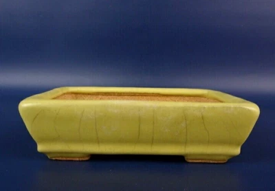 Japanese TOKONAME Bonsai pot HATTORI signed Yellow glazed Rectangle w5.2" *1239 - Image 1 of 4