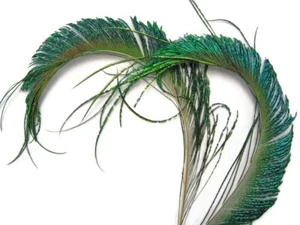 50 Pieces - 10-12" Natural Iridescent Green Peacock Swords Cut Wholesale Feather - Picture 1 of 7