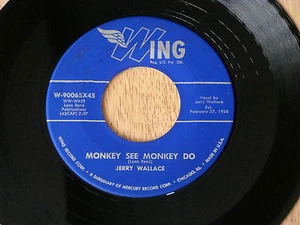 JERRY WALLACE~MONKEY SEE MONKEY DO~VG++~TITTYSHAKER~WING~EYES OF ~ ROCKABILLY 45 - Imagen 1 de 1