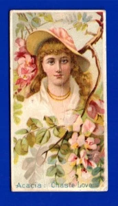 ACACIA CHASTE LOVE 1892 DUKE & SONS & CO. N75 FLORAL BEAUTIES very good - Picture 1 of 2