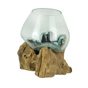 Molten Glass On Teak Driftwood Decorative Bowl Vase Terrarium Planter Home Decor - Picture 1 of 7