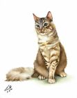 ✪ ORIGINAL Oil Portrait Painting NORWEGIAN FOREST CAT Artist Signed Feline Art