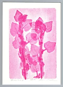 Vintage 60s,70s Botanical Scientific X-Ray Art Print, Floral Monotype, 7x5 - Picture 1 of 2