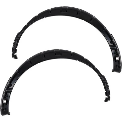 Juego de 2 molduras molduras guardabarros trasero conductor y pasajero Foto 1 de 4