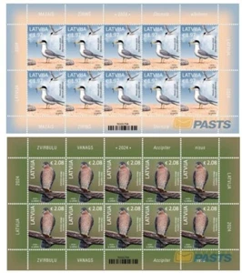 latvia 2024 Birds prey Eurasian Sparrowhawk Accipiter nisus Tern 2x10v mnh FULL - Picture 1 of 1