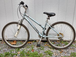 diamondback insight 2 blue book