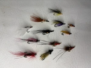 12 Moscas del Salmón - Varios Patrones - Preciosa Mezcla - Nuevas y en Caja - Buen Precio - Imagen 1 de 6