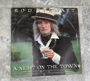 Rod Stewart A Night On the Town Vintage LP 1976 Record USA Made Warner Brothers - Picture 1 of 6