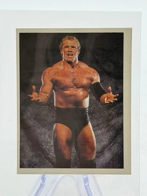 Tarjeta adhesiva Sycho Sid Vicious Justice 1997 Panini WWF Superstars #29 WWE WCW Foto 1 de 2