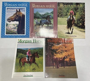 5 Issues- The Morgan Horse Pride & Products of America- 1993- Feb, Mar, May, Oct - Picture 1 of 15