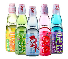 Ramune Japanese Soda Variety 6 Pack-Hata Bin-Iri Multiple Flavors-Japanese Drink