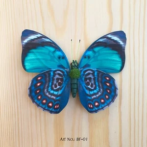 Magnet Butterflies for walls and friges - Picture 1 of 13