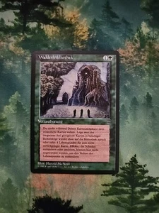 Sylvan Library Magic The Gathering MTG FBB German - Picture 1 of 2