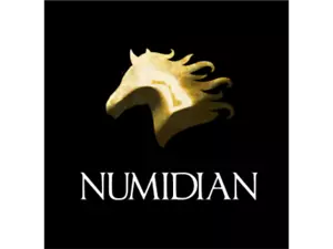 Forjado en batalla - A58 - Numidian Starter Army - 15 mm - Imagen 1 de 5