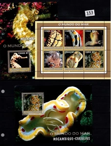 !! MOZAMBIQUE - MNH - NATURE - SEAHORSES - MOLLUSCS - MARINE LIFE - Picture 1 of 1