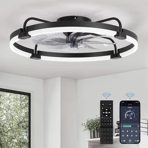 Ceiling Fans with Lights and Remote, 24'' Low Profile Ceiling Fan with Light, 30 - Picture 1 of 8