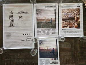 Zach Bryan Lot Of 4 Color Print on Vinyl Canvas Wall Art  - Bild 1 von 1