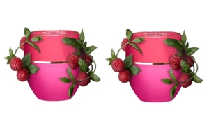2 X Bálsamo multiusos Oriflame Tender Care frambuesa 0,35 fl. oz. - Imagen 1 de 1