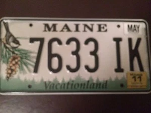 MAINE BIRD & PINE CONO ~ PLACA DE LICENCIA ~ ETIQUETA - Imagen 1 de 2
