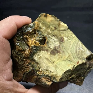 15oz Blue Mountain Orbicular Porcelain Picture of Jasper Pair Rough #06 - Picture 1 of 9