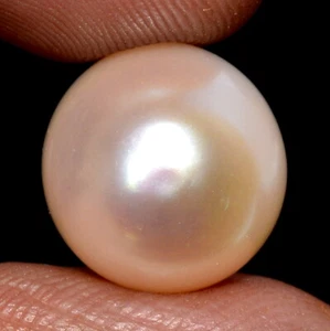 13.85 Cts Natural Fresh Water Pearl Round Cabochon 13 mm Calibrated Gemstone - Picture 1 of 6