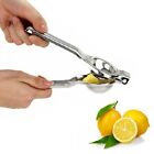 Make Delicious Fresh Orange Juice with This Stainless Steel Citrus Juicer