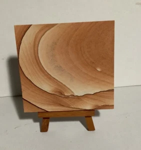 Sandstone and Easel, Picture Sandstone, Geologist, Sculpture, Southern Utah, #5 - Picture 1 of 2