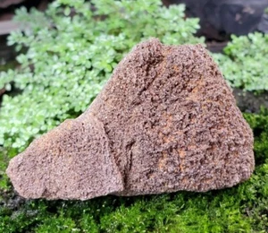 150gr seltenes raues versteinertes Holz bedeckt mit schimmerndem Drusy Quartz - Bild 1 von 7