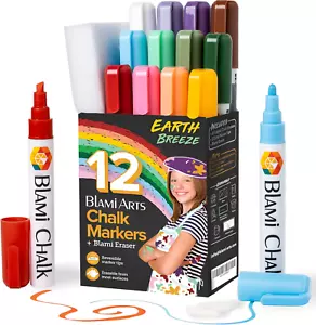 Blami Arts Chalk Markers Window Markers for cars 12 Pastel Pens Set - Earth Colo - Picture 1 of 8